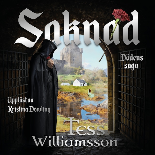 Book cover for Saknad