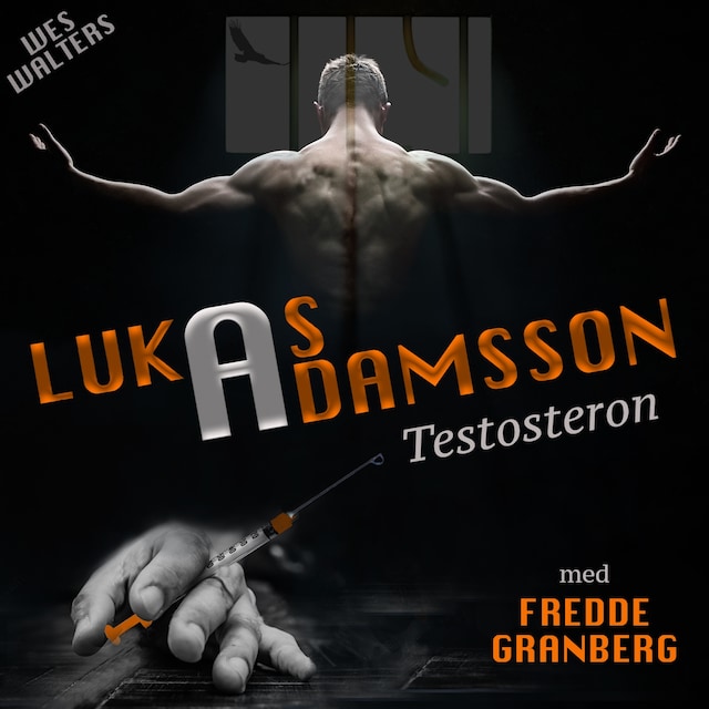 Book cover for Testosteron