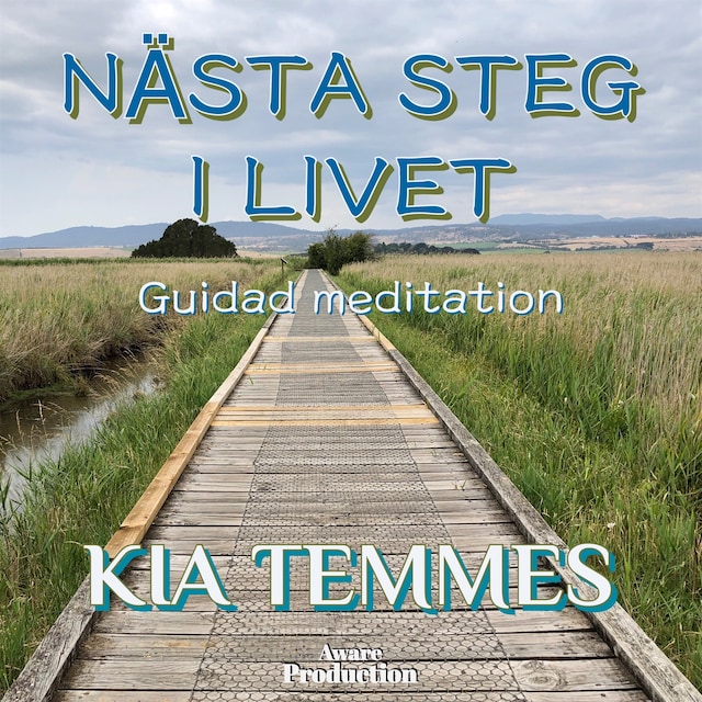 Book cover for Nästa steg i livet, guidad meditation