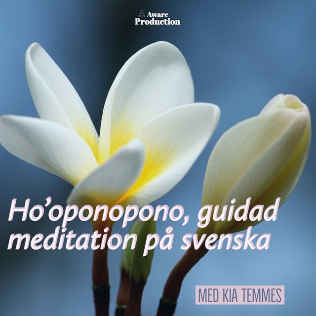 Boekomslag van Hooponopono, guidad meditation
