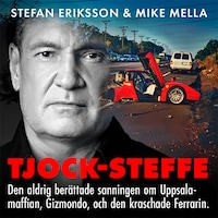 TJOCK-STEFFE