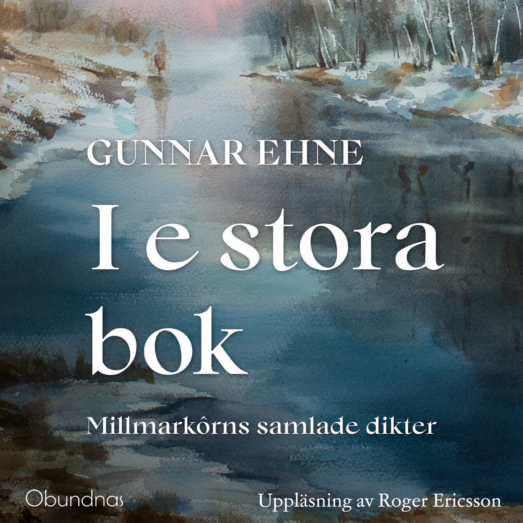 I e stora bok