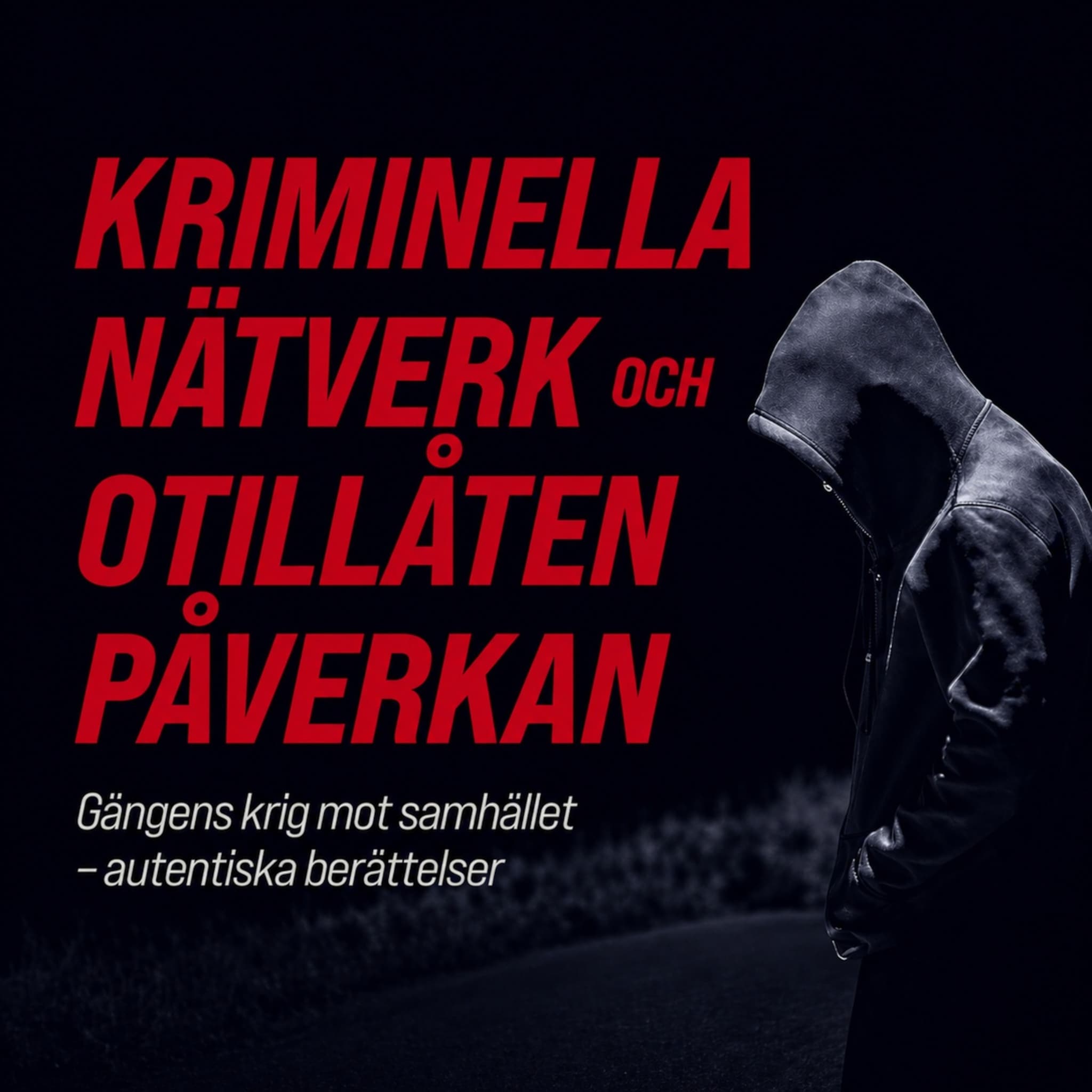 Kriminella nätverk och otillåten påverkan