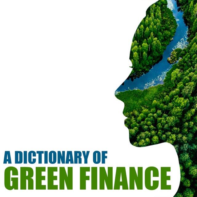 Book cover for A dictionary of green finance