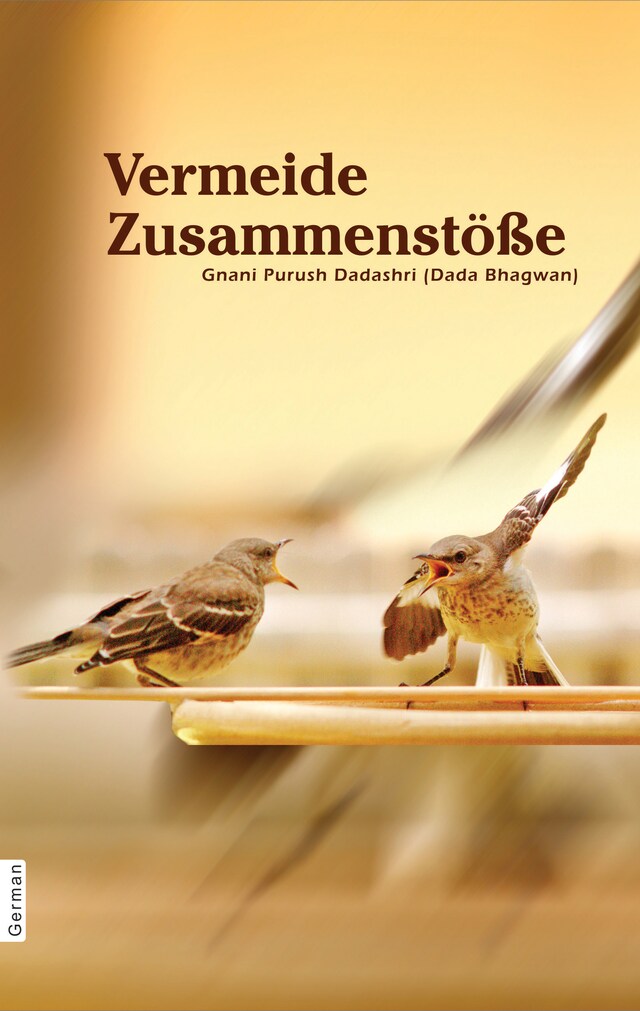 Buchcover für Vermeide Zusammenstöße