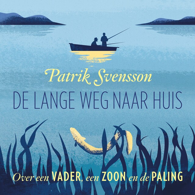 Copertina del libro per De lange weg naar huis