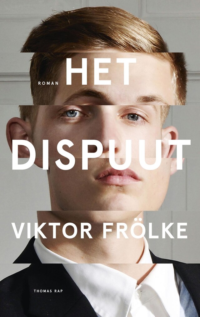 Book cover for Het dispuut