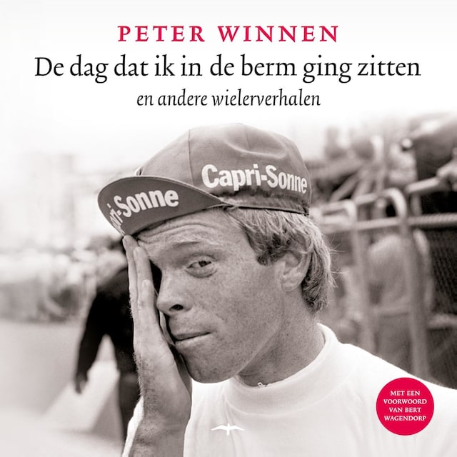 Book cover for De dag dat ik in de berm ging zitten