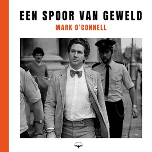 Een spoor van geweld - luisterboek