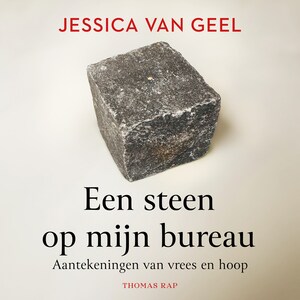 Een steen op mijn bureau - luisterboek