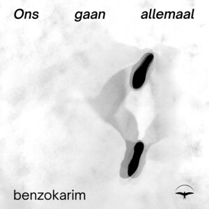 Ons gaan allemaal - luisterboek