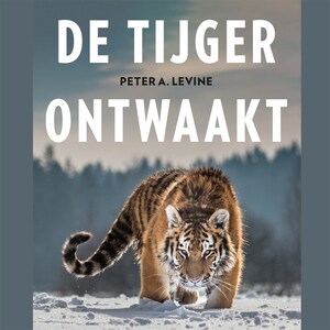 De tijger ontwaakt - luisterboek