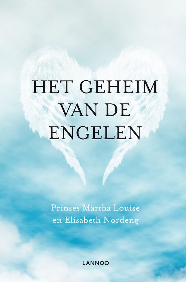 Book cover for Het geheim van de engelen