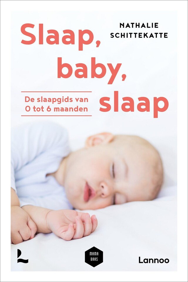 Book cover for Slaap baby slaap