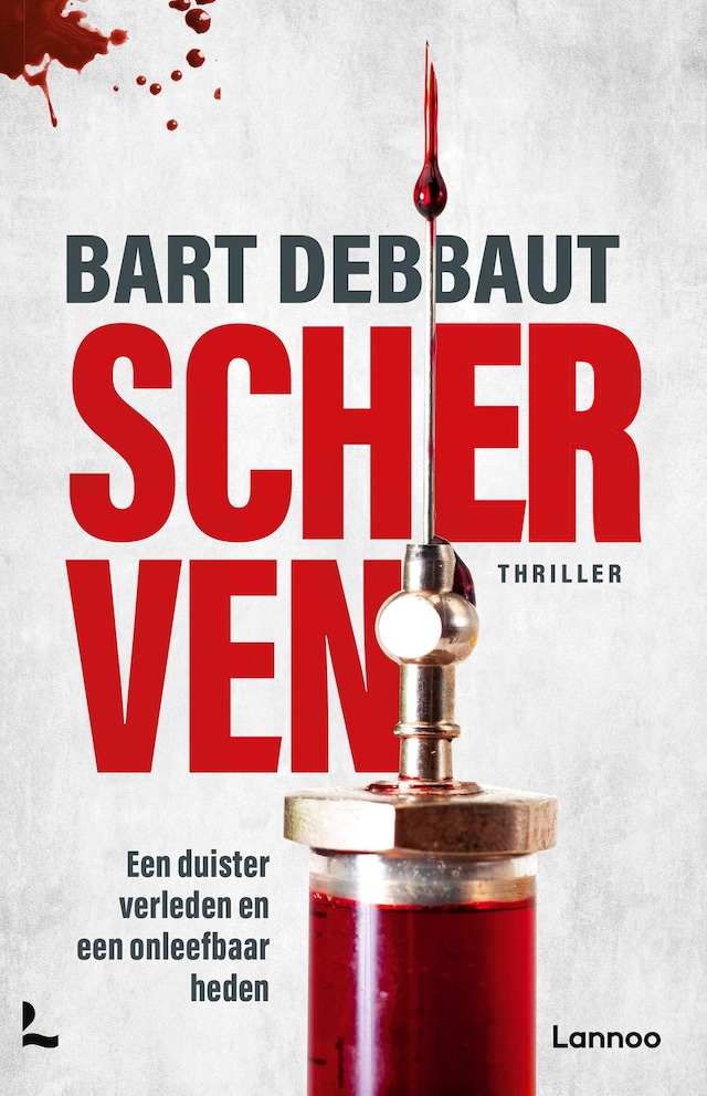 Book cover for Scherven