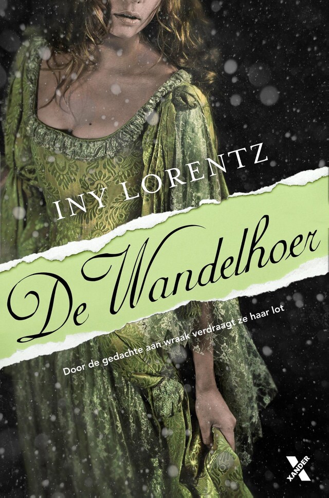 Book cover for De wandelhoer