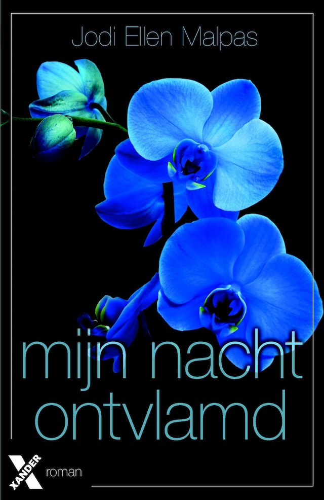 Book cover for Mijn nacht ontvlamd