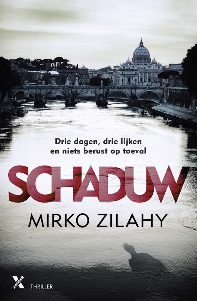 Book cover for Schaduw