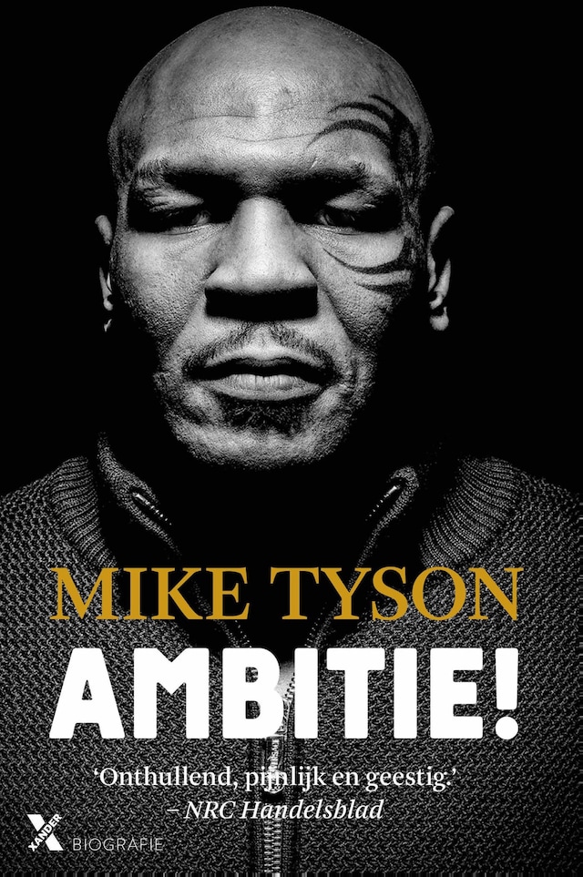 Book cover for Ambitie!