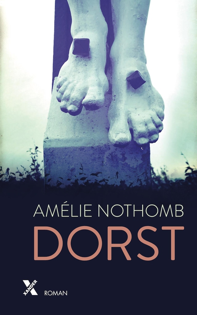 Book cover for Dorst