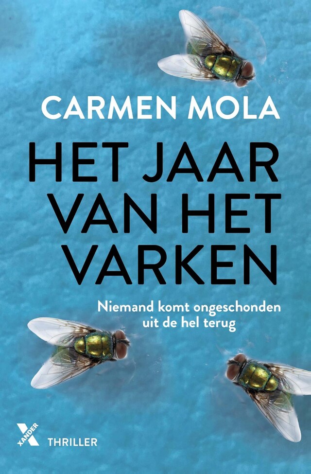 Book cover for Het jaar van het varken