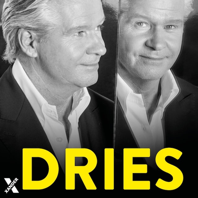 Book cover for Dries