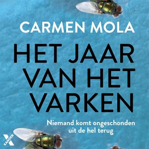 Het jaar van het varken - luisterboek