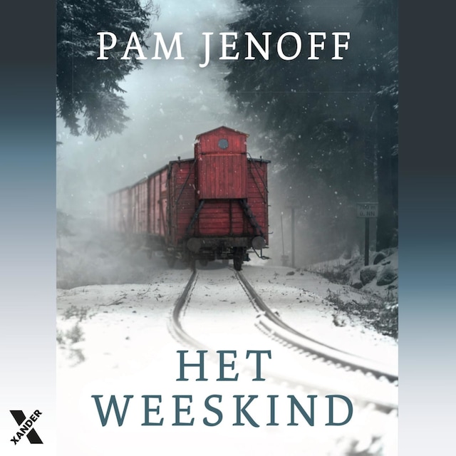 Book cover for Het weeskind