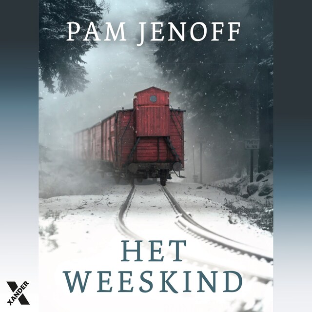 Book cover for Het weeskind