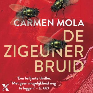 De zigeunerbruid - luisterboek