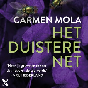 Het duistere net - luisterboek
