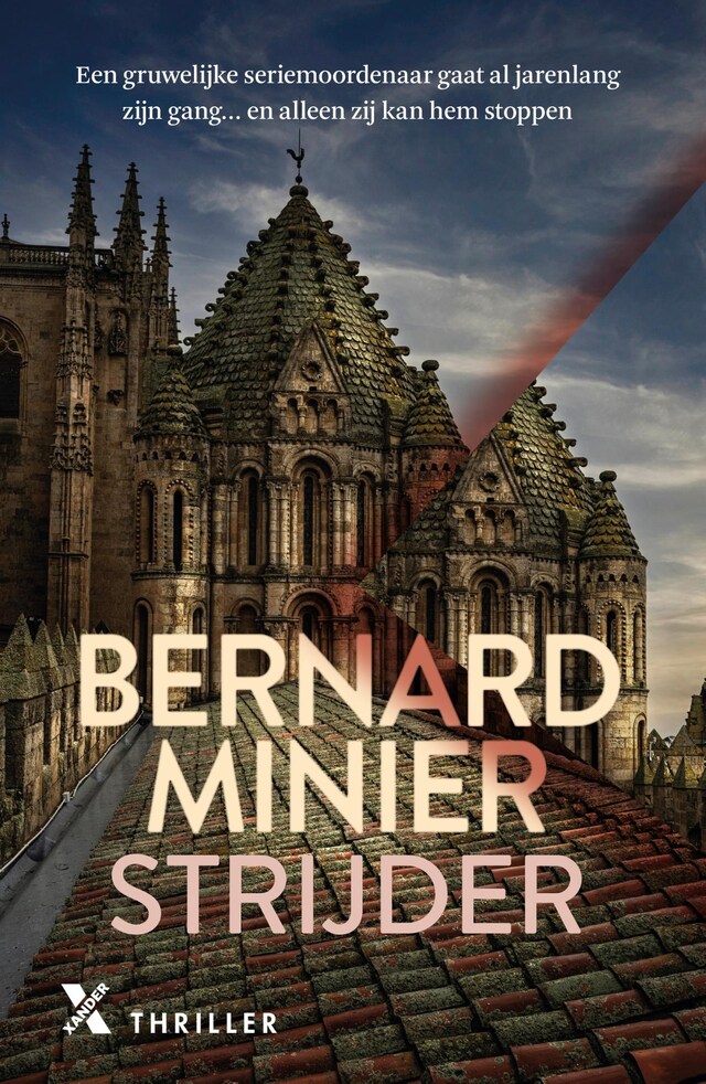 Book cover for Strijder