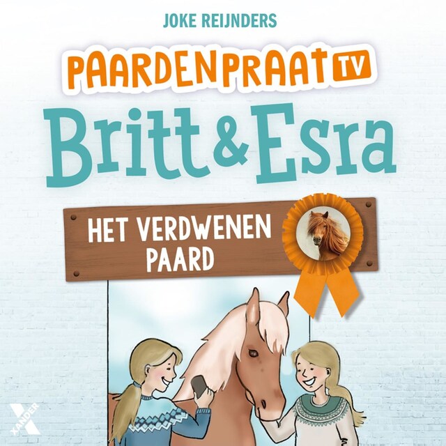 Book cover for Het verdwenen paard