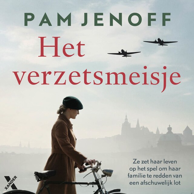 Book cover for Het verzetsmeisje