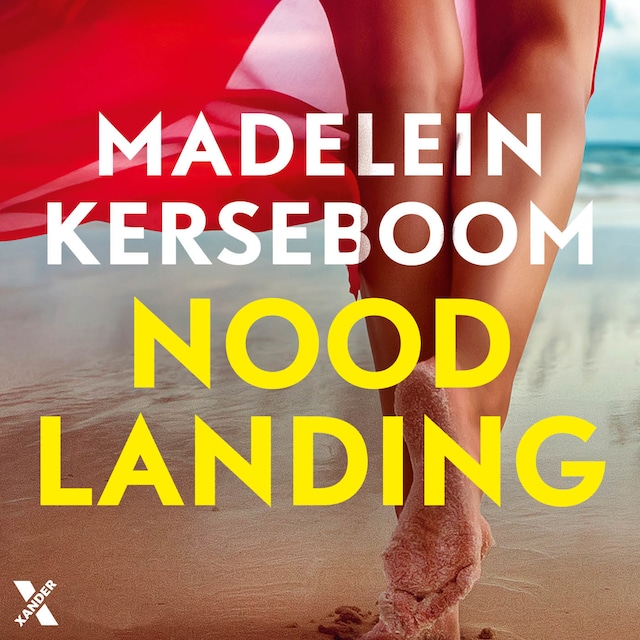 Book cover for Noodlanding