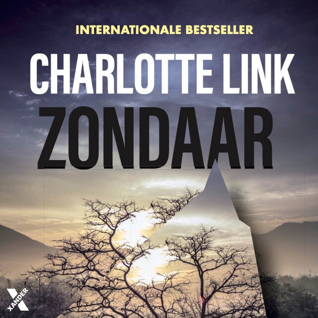 Zondaar Boekomslag van Zondaar