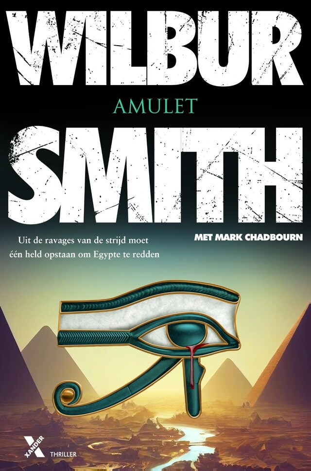 Book cover for Amulet