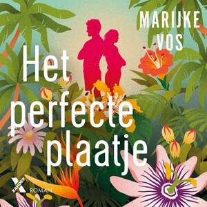 Het perfecte plaatje - luisterboek