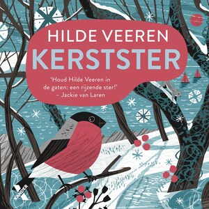Kerstster - luisterboek