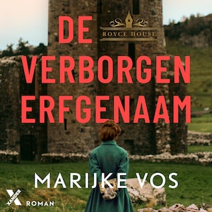 De verborgen erfgenaam - luisterboek