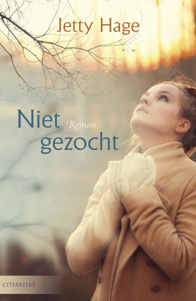 Copertina del libro per Niet gezocht