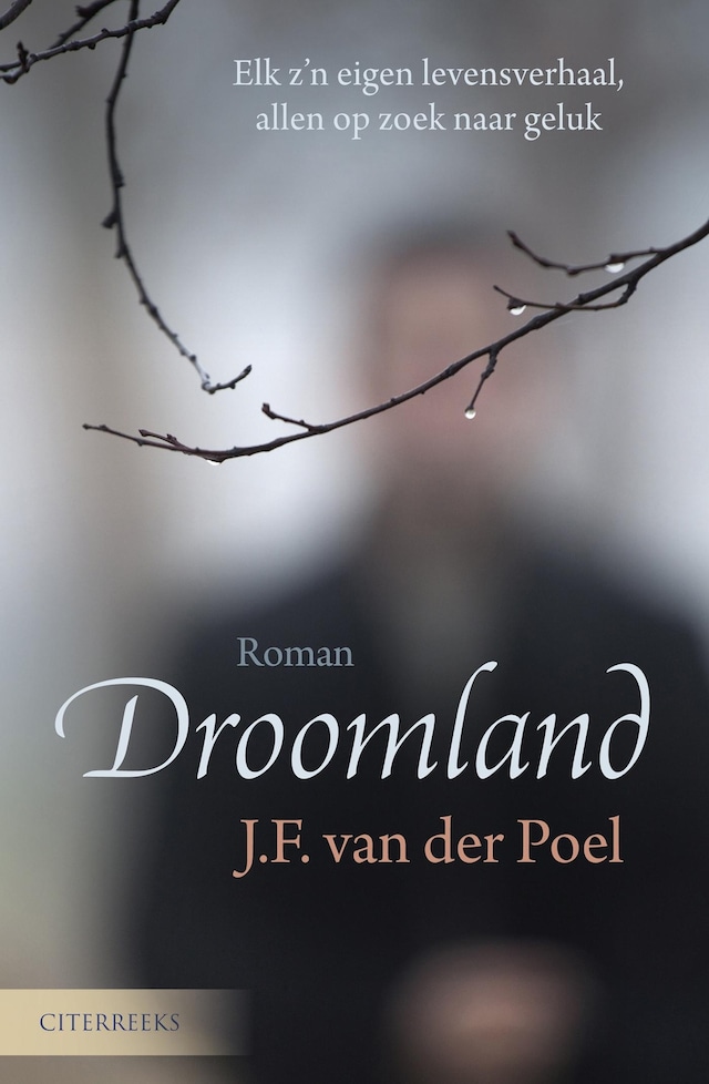 Book cover for Droomland