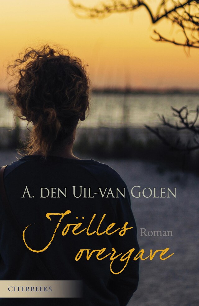 Buchcover für Joëlles overgave