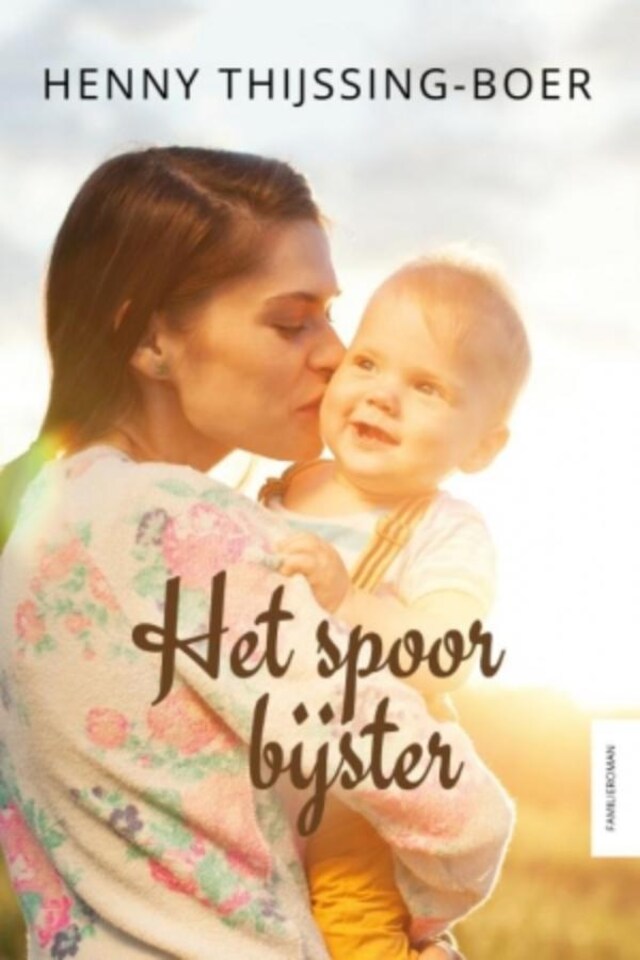 Book cover for Het spoor bijster