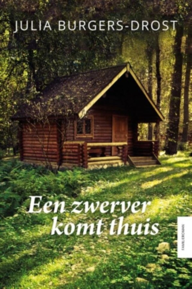 Book cover for Een zwerver komt thuis