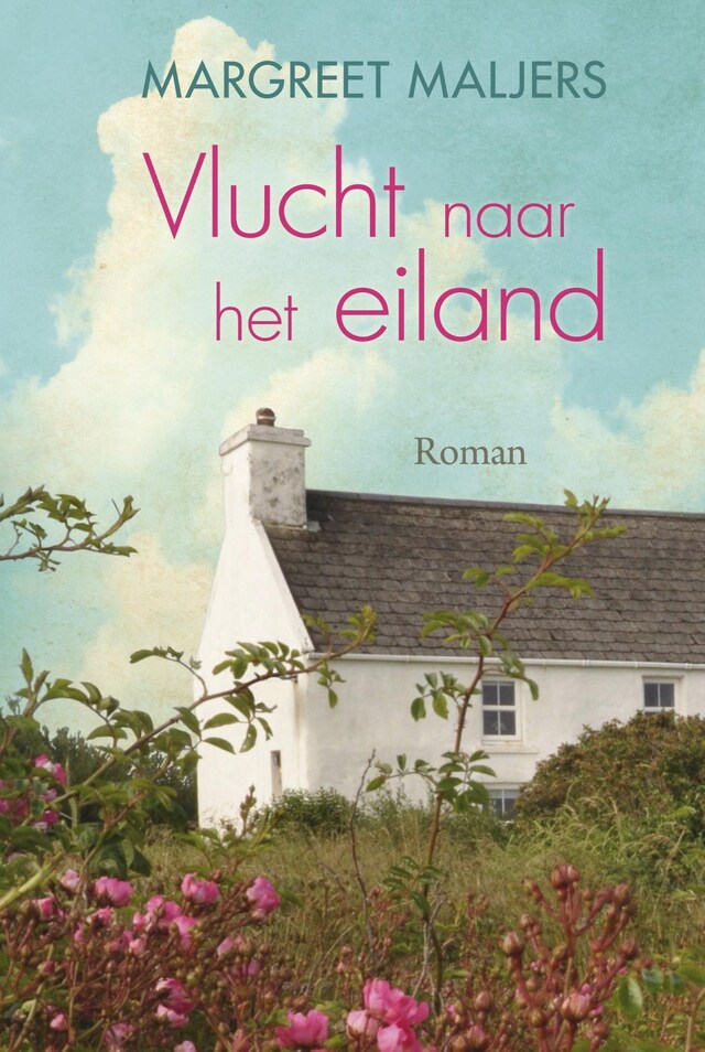 Book cover for Vlucht naar het eiland