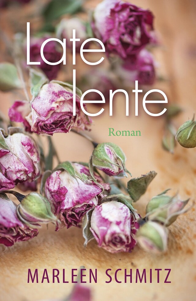 Book cover for Late lente