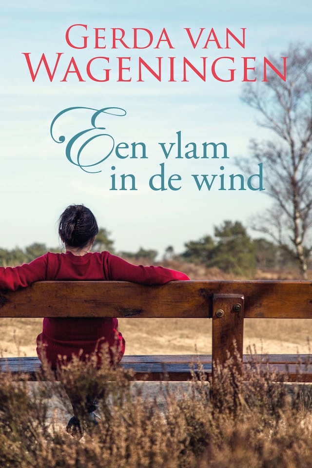 Book cover for Een vlam in de wind