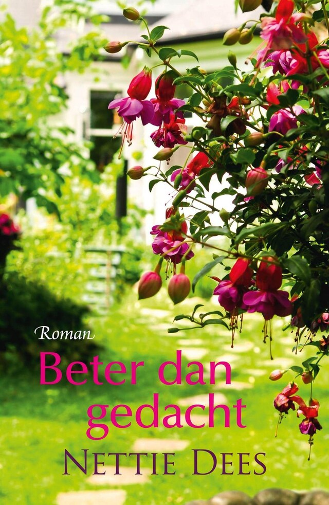 Book cover for Beter dan gedacht