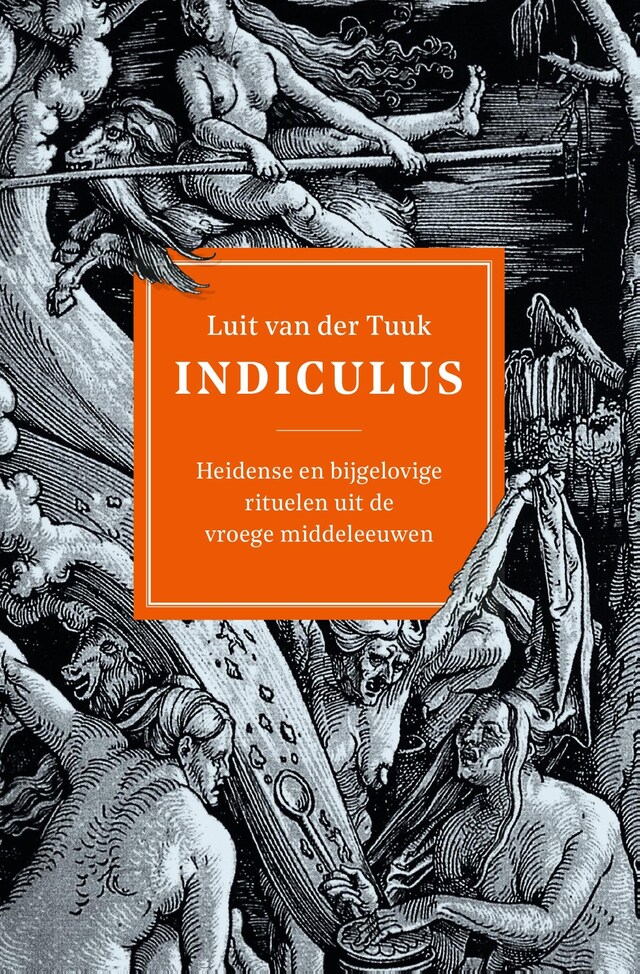 Copertina del libro per Indiculus